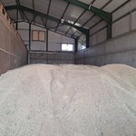 Photo by WALNES SEEDS ORGANIC (@organicwalnes)
