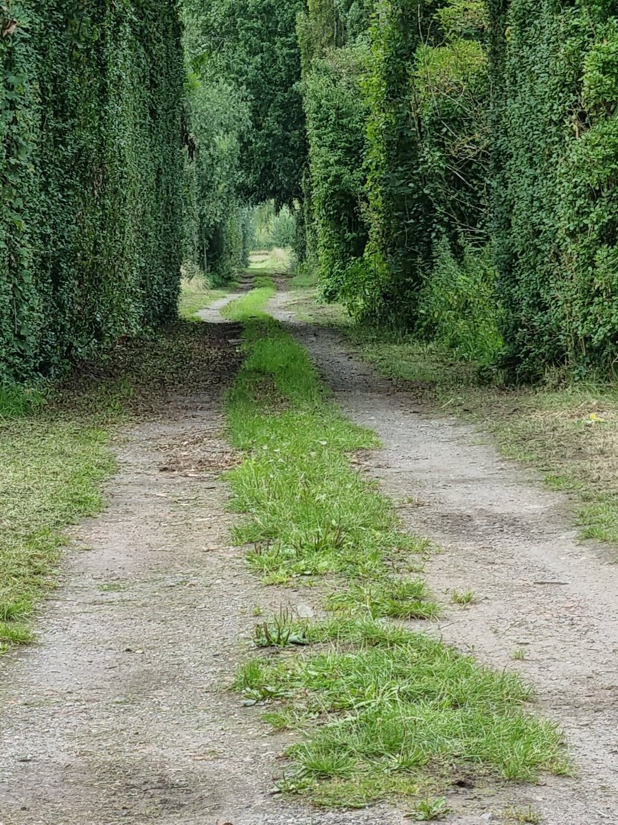 PeterMeranti's tweet image. 