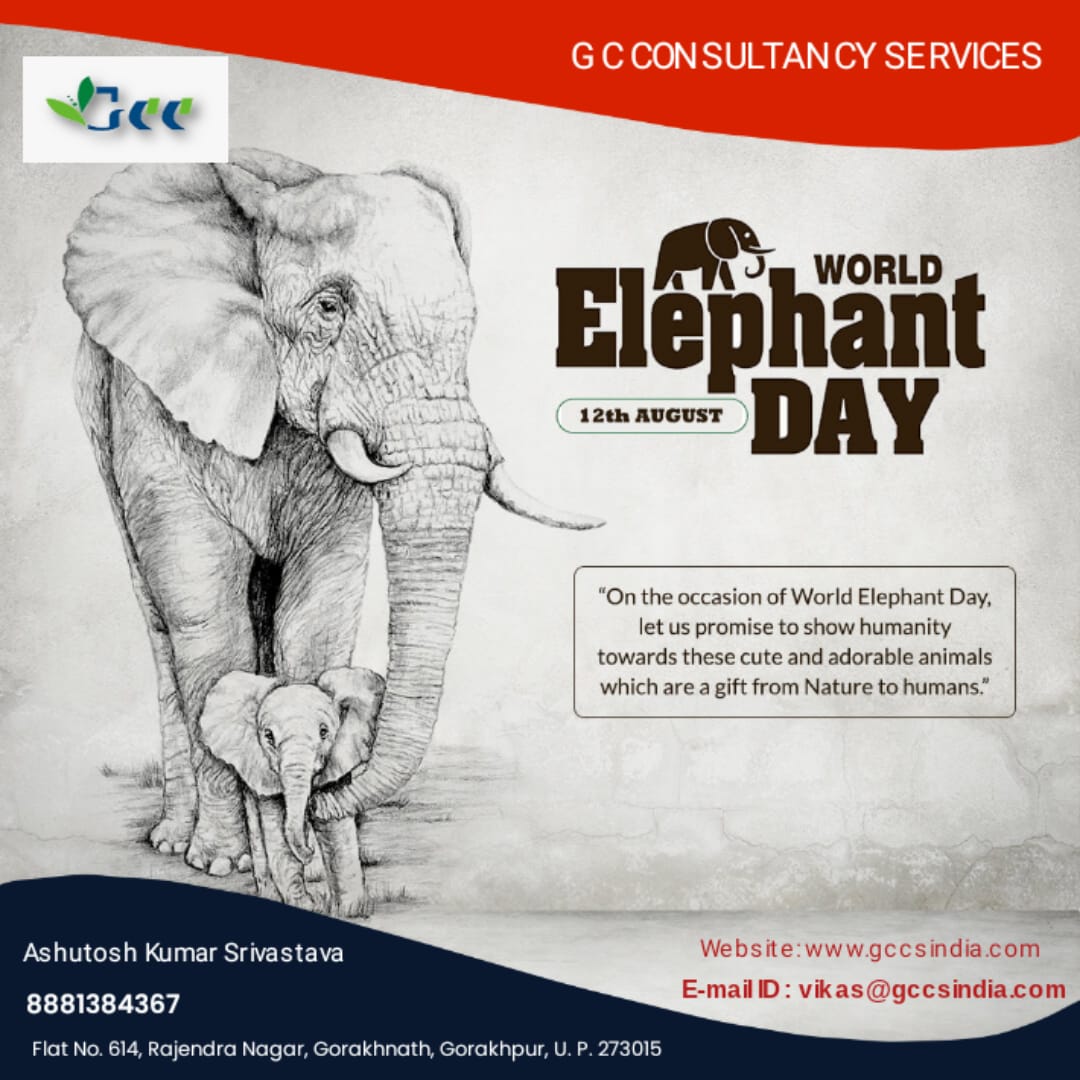 #WorldElephantDay #Elephants #SaveTheElephants #ElephantLove #GentleGiants #WildlifeConservation #EndElephantPoaching #ProtectOurElephants #ElephantAwareness #ElephantHeroes #ElephantPower #ElephantWisdom #ElephantKindness #ElephantSpirit #ElephantGrace