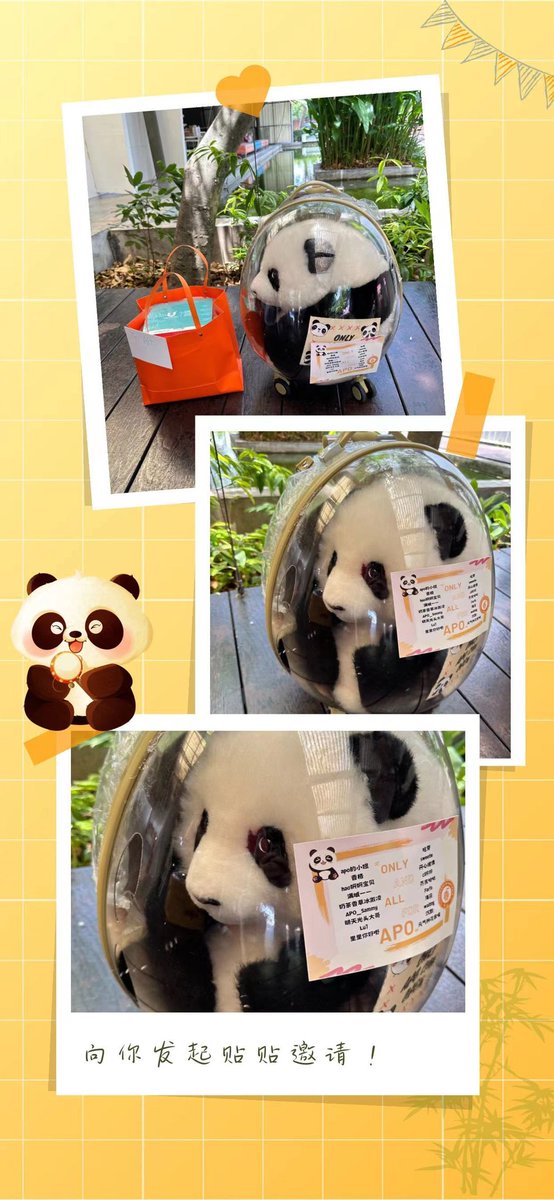 vitalitymeow's tweet photo. Dear Apo
This is customised panda "Menglan" for you.
Warm and lively are its charm, but also your character;
Its independent and eager to freedom are our blessing for you.
May you chase dreams as you wish and mastery your future career.
@Nnattawin1 
#Nnattawin   
#apocolleagues https://t.co/GI0EL1wTnn