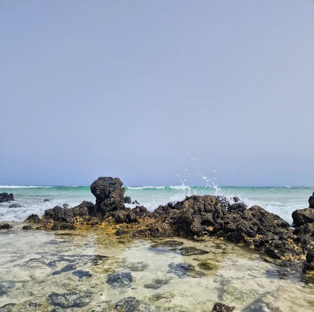 danielpardhan's tweet image. De ruta por #corralejo #fuerteventura
📸 11/8/23
⏰ 13:00
🌡️ 33°C (aprox)
@VickyPalmaMeteo @CedresEdgar @xailafalcon @antcardenes @tenerife_meteo @Adricor_fer @TiempoRTVC @tierradealisios @EmocionesCan @meteogc @meteoGCcom @AGMCan @PontealDiaRTVC @unahoramenostv @FuerteMeteo