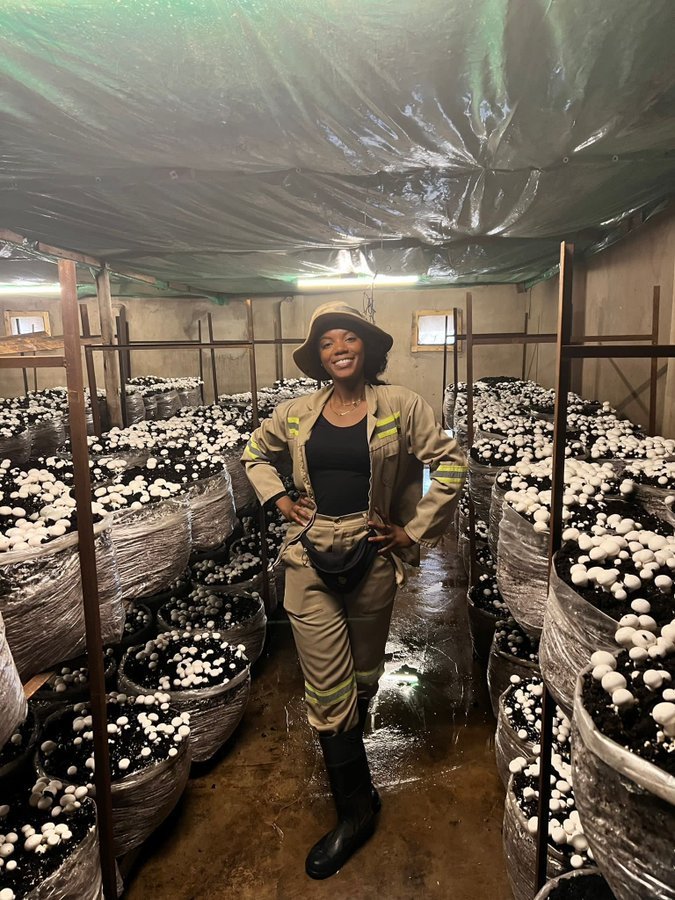 p_dusabimana's tweet photo. You can make a lot of money in mushroom production! Are you interested to learn more? 

Leave a comment and retweet! https://t.co/QI27GhOLlT