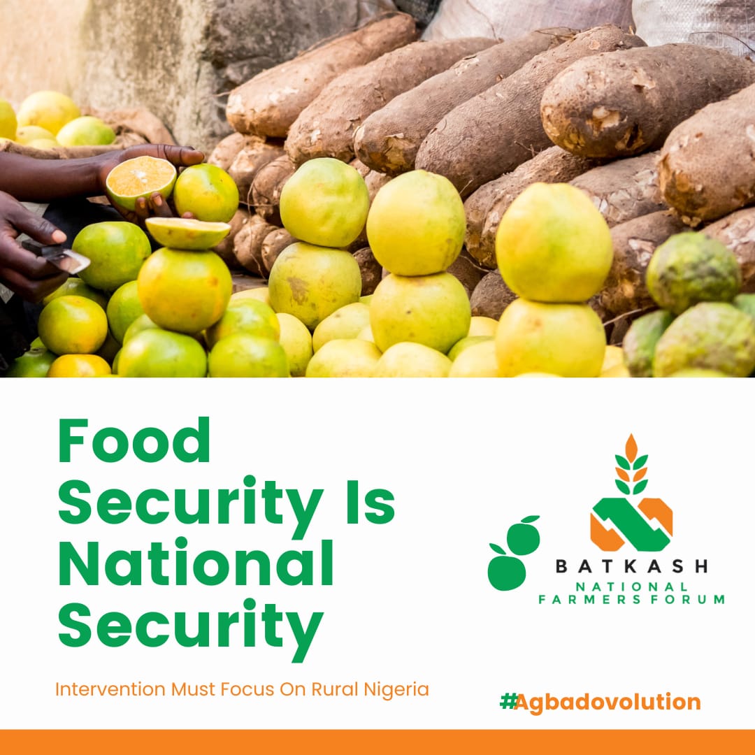OfficialAFFLag's tweet photo. #Agbadovolution: The Nigeria National Question is an Economic Question. Rural Nigeria Holds The Key To Real National Development and Growth. Government Must Spend on Agriculture and Agribusiness. Rural Nigeria Must Be Taken Seriously to Arrest The Challenge of Insecurity, Food https://t.co/nAWBRRZeJ1