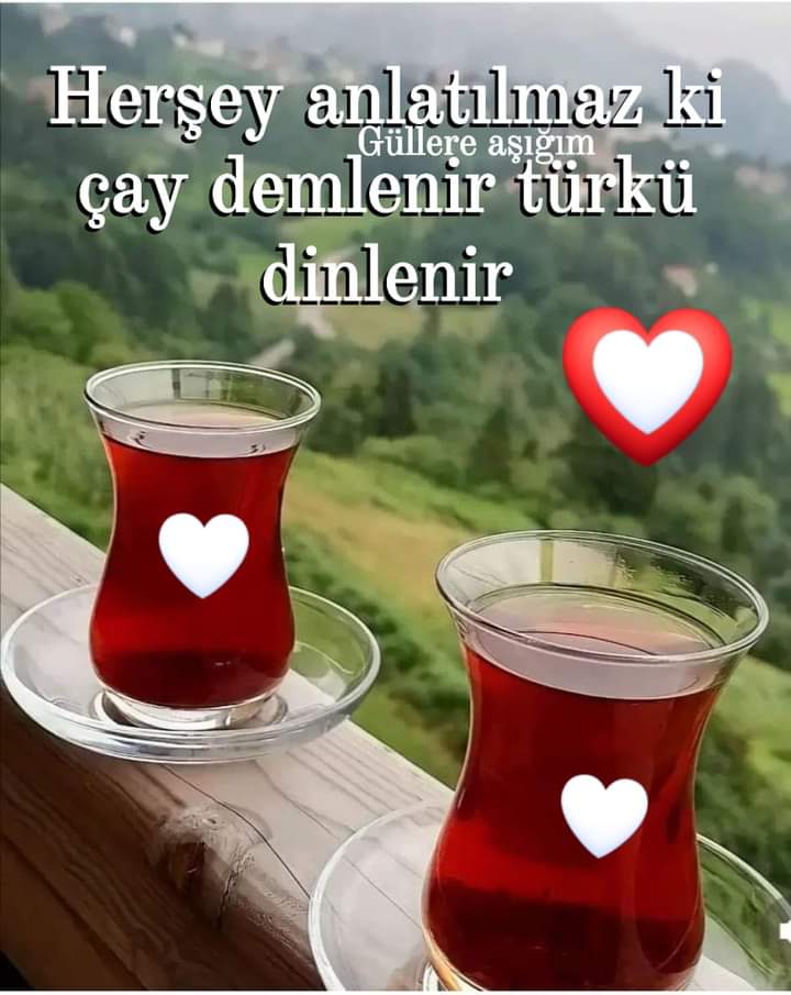 Günaydın takipçilerim