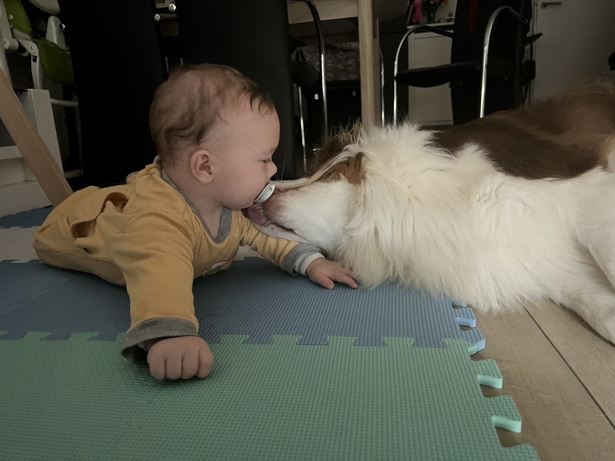 enjoyinglxfe's tweet photo. Mon bébé va avoir 6 mois le 17, le temps file à une vitesse … https://t.co/oKIZQciEV3