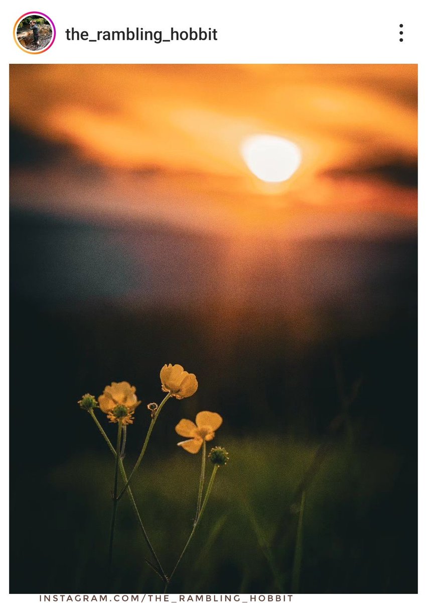 GM🌄
'Weardale sunset'.
📍Co. Durham