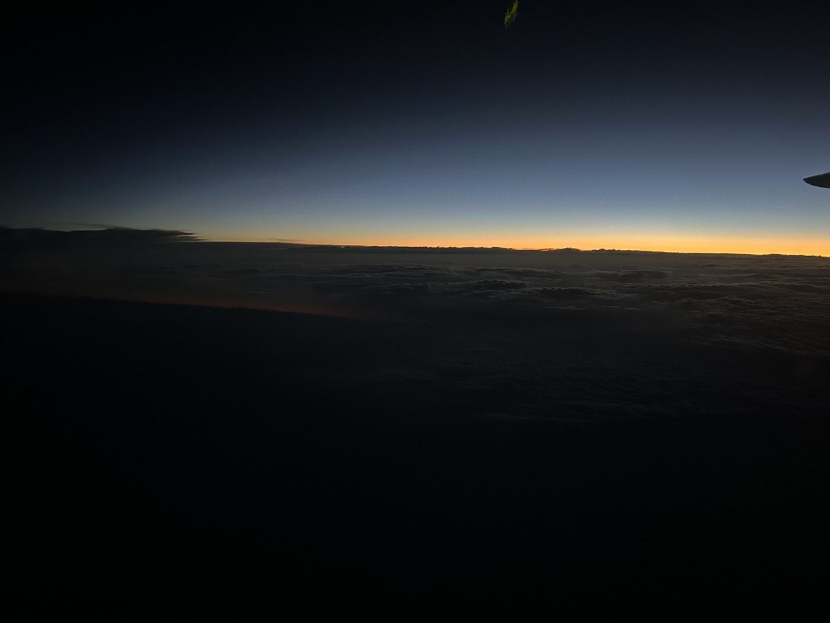 Ryan Zhang tweet media