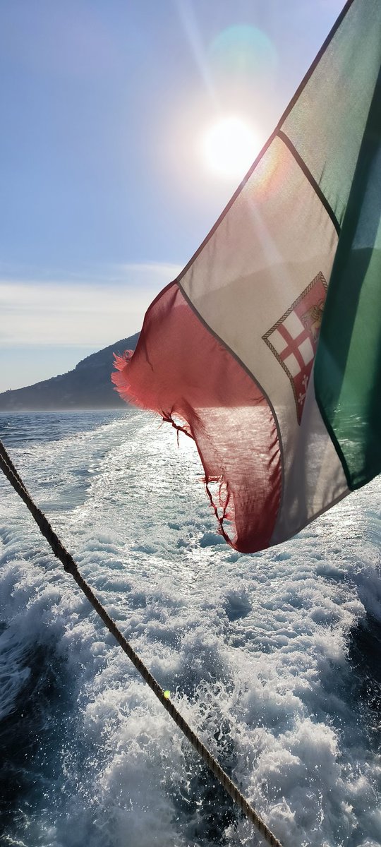 𝕄𝕒𝕝𝕖𝕥 (@comeunaspada) on Twitter photo 