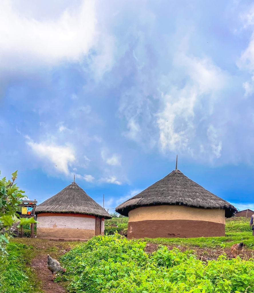 iamcheropmark's tweet photo. What a beauty!!!
This humble homestead somewhere in Kapchorwa, living a purely indigenous and healthy life.
God bless them. https://t.co/lIWNet8NU7
