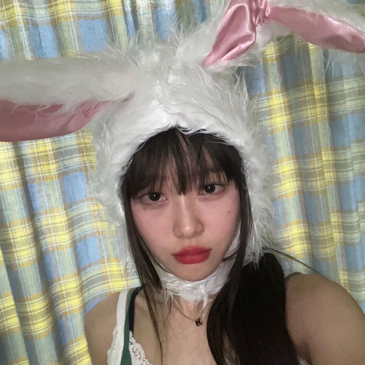 🐰🐰