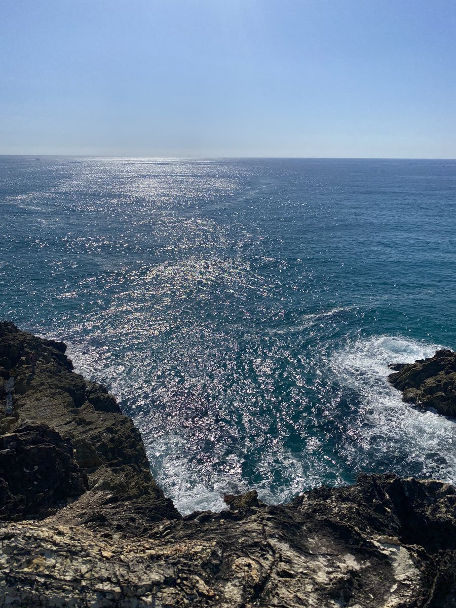 Trish Hurst tweet media