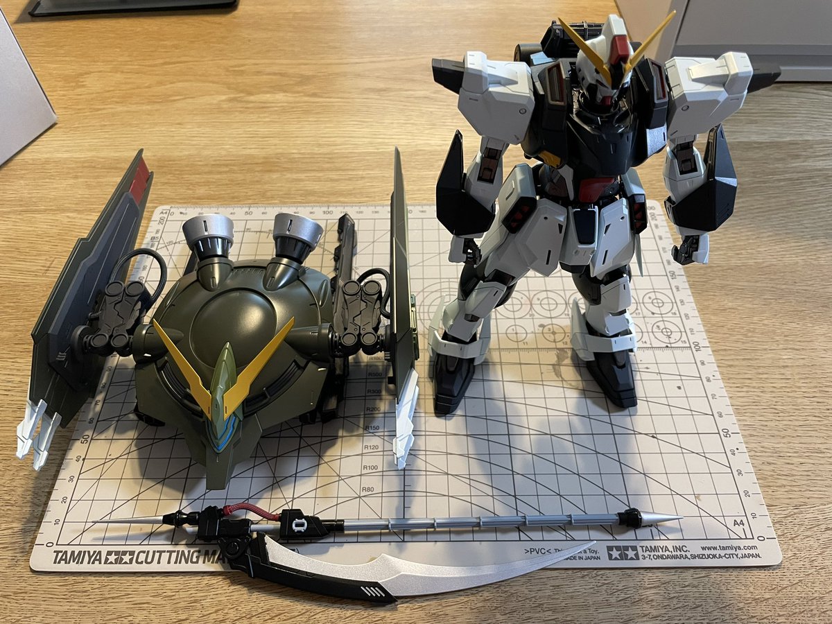 めちゃめちゃイカす✨

#ガンダム　#ガンプラ　#ガンプラ好きと繋がりたい　#フォビドゥン　#フォビドゥンガンダム