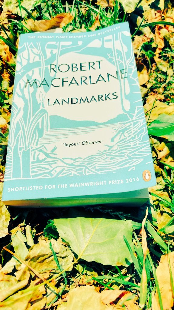 PatchieSteve's tweet photo. This week's #LandmarksVSS #prompt is:

#cramble - boughs or branches of crooked and angular growth, used for craft or firewood (Yorkshire)

Looking forward to reading your words. https://t.co/QjJxws7Q18