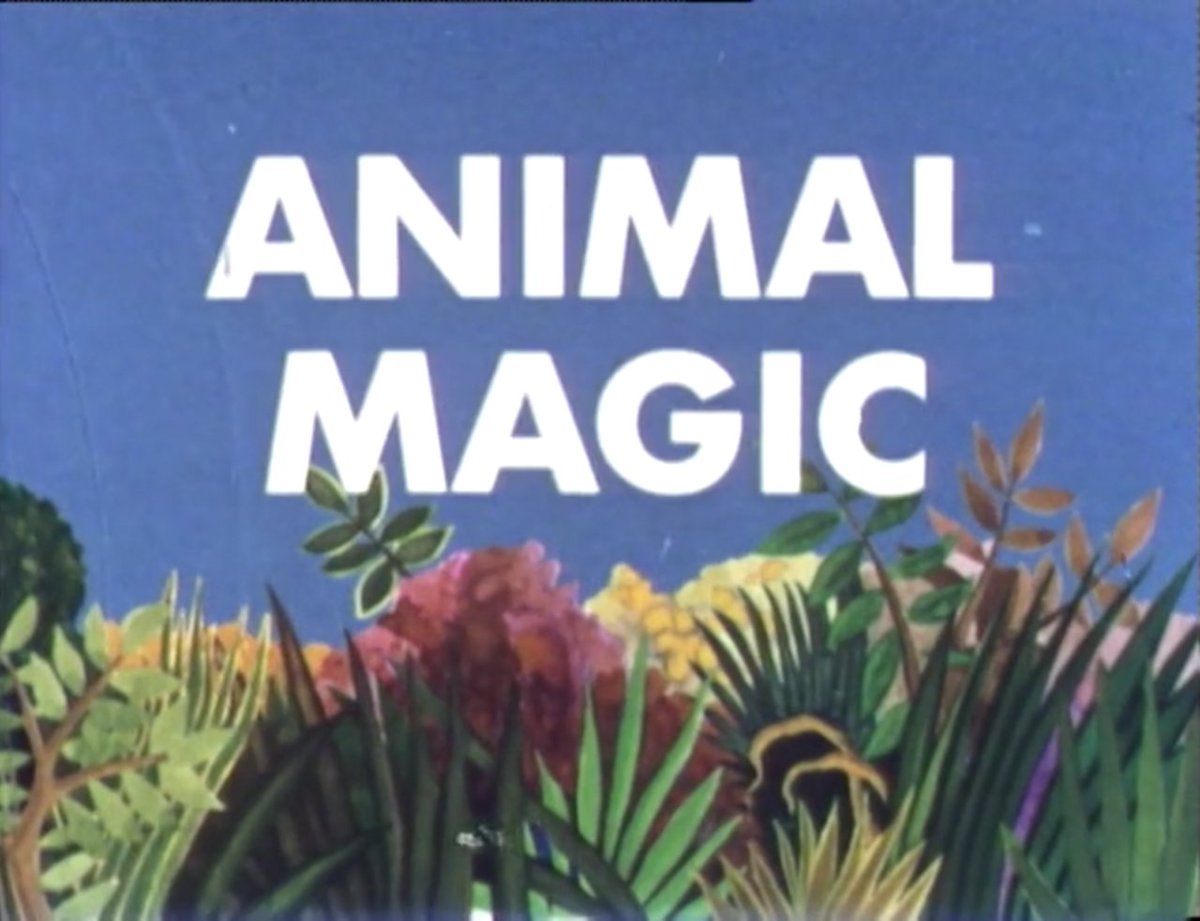 MyLifeFilmsOrg's tweet photo. It's World Elephant Day - raising awareness of the need for better protection of elephants, conservation of habitats &amp; treatment in captivity. Watch these &amp; other animals on Animals Slow TV, Animal Magic &amp; Our Animal World, on My Life TV. #elephants #elderlycare #dementiacare https://t.co/R7xkFdpYrE