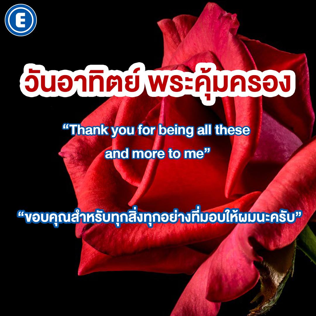 Enconcept tweet media