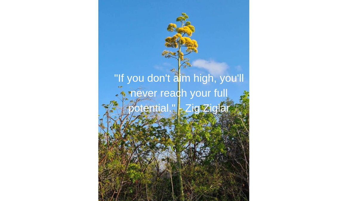 denarscott's tweet photo. Today's Motivational Quote https://t.co/ct1nZuxWNX