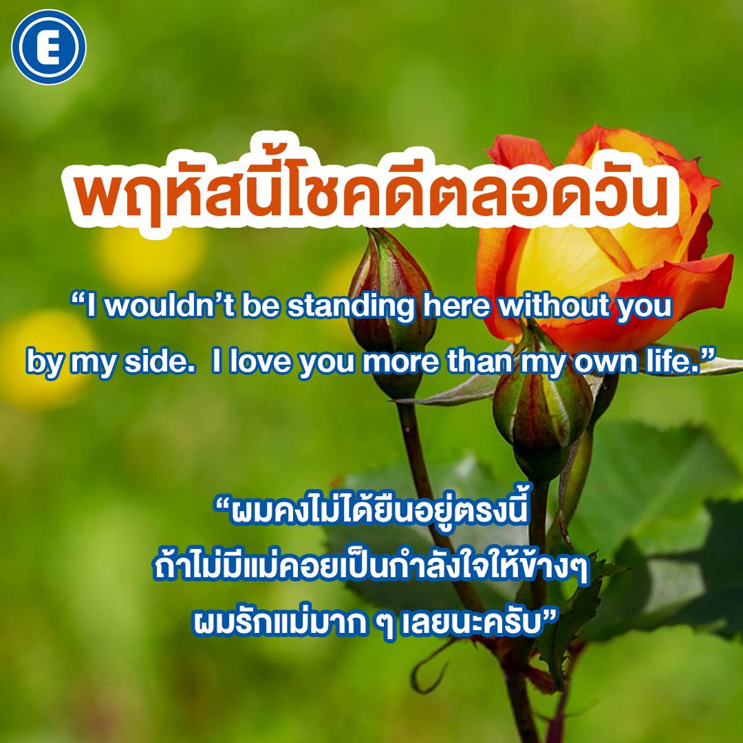Enconcept tweet media