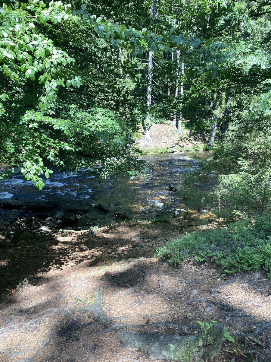 Ivana Staňková (@ivcastankova) on Twitter photo 