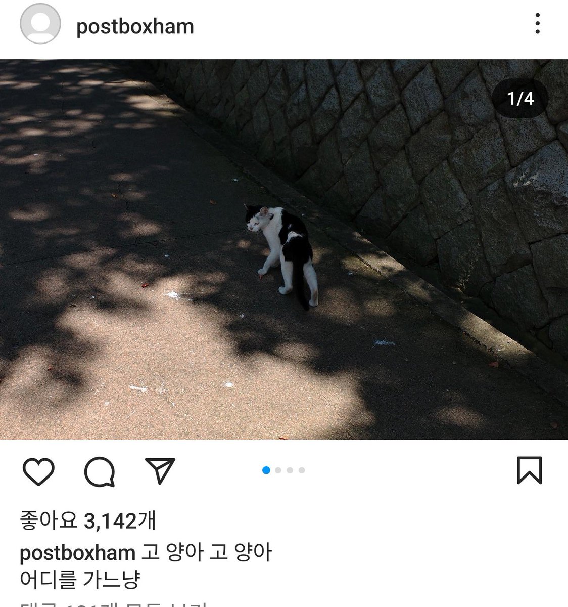 postboxham's tweet photo. 230812 #박서함 https://t.co/5QW1zWuf1X