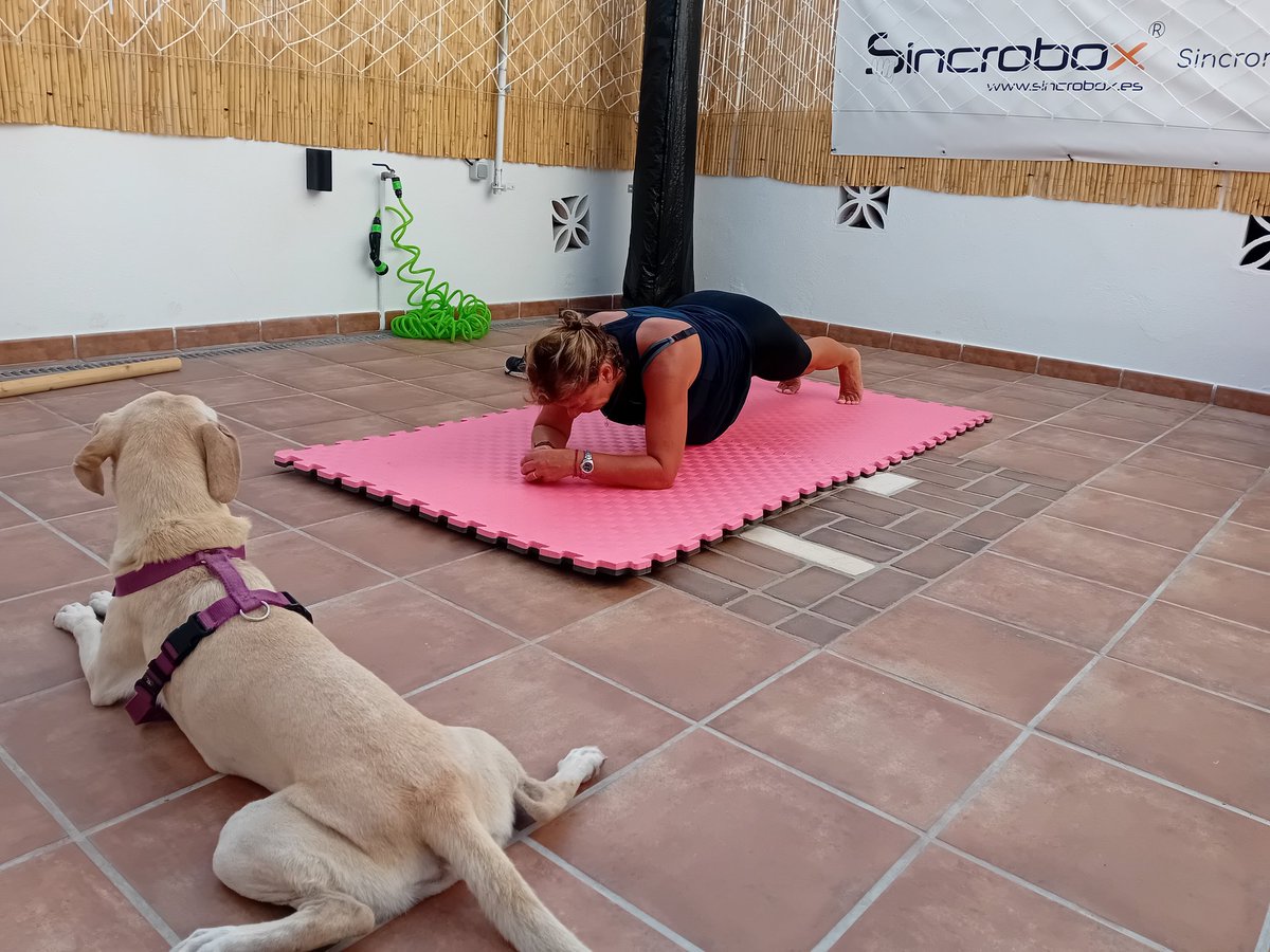 Sincrobox's tweet photo. Calentando motores para la  #feriademálaga...Feliz sábado de feria a tod@s💯👊🏻👊🏻 https://t.co/crscvkoENB