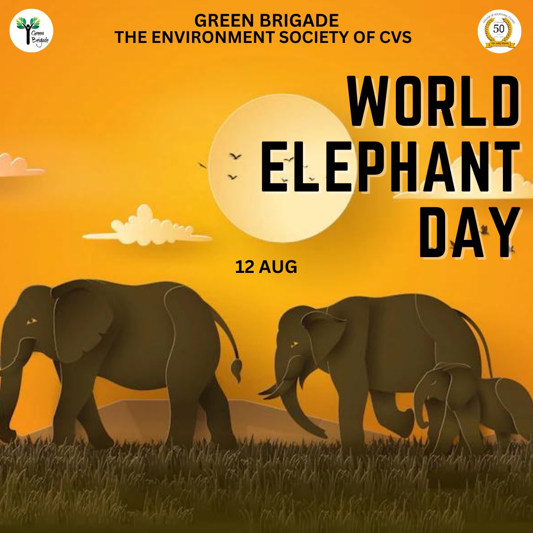 _GreenBrigade's tweet photo. On this World Elephant Day, join the cause to safeguard their ecosystems and a better future. Together, we can be the change's trumpet, promoting harmony and conservation. 🐾🌟
#WorldElephantDay2023 #conservation #saveanimals 🐘🍀 https://t.co/I2AiQaVp5C