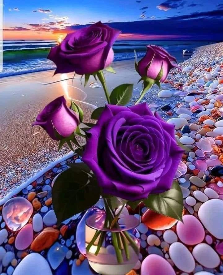 sar__224's tweet photo. فى حضرة الذكريات ..  
لا نملك الا الصمت...  
احتراماً وتقديراً وشوقاً وحنيناً  
لمن سكن تفاصيلها .
صباح الخير

#باخرة_البووح
#قروب_نجوم_القيصر_للدعم
#مملكة_طارق_للدعم https://t.co/wWNiKjaQyC