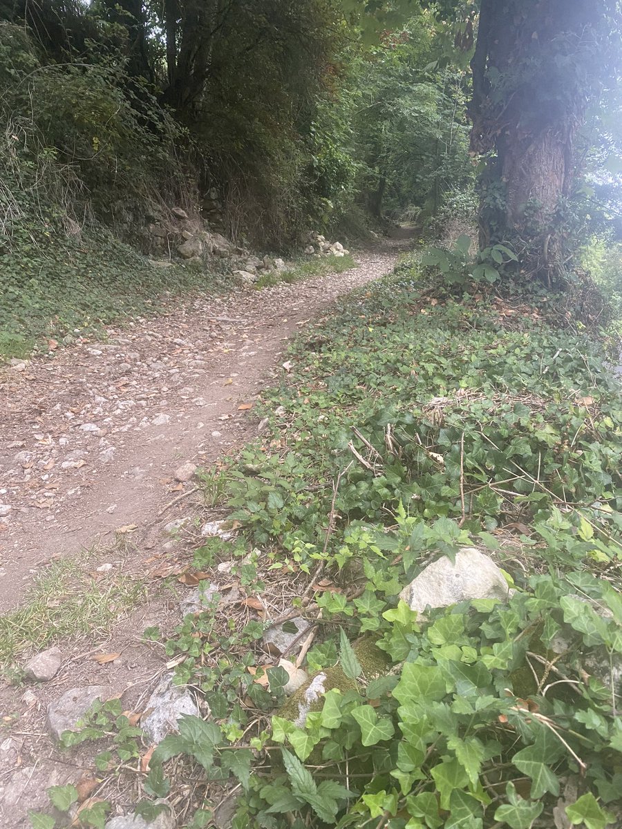 RichardQuentin2's tweet photo. Fin de la prépa GRP avec cette dernière sortie longue parsemée de côtes pour faire du dénivelé.
Maintenant repos et surtout Vacanceeeeeees
😉👍💪✌️☀️😎🏃🏻♂️
#Strava #PrepaTrail #PrepaGRP #Trailer #TeamRunner #TeamTrailer https://t.co/mJBDTizjgw
