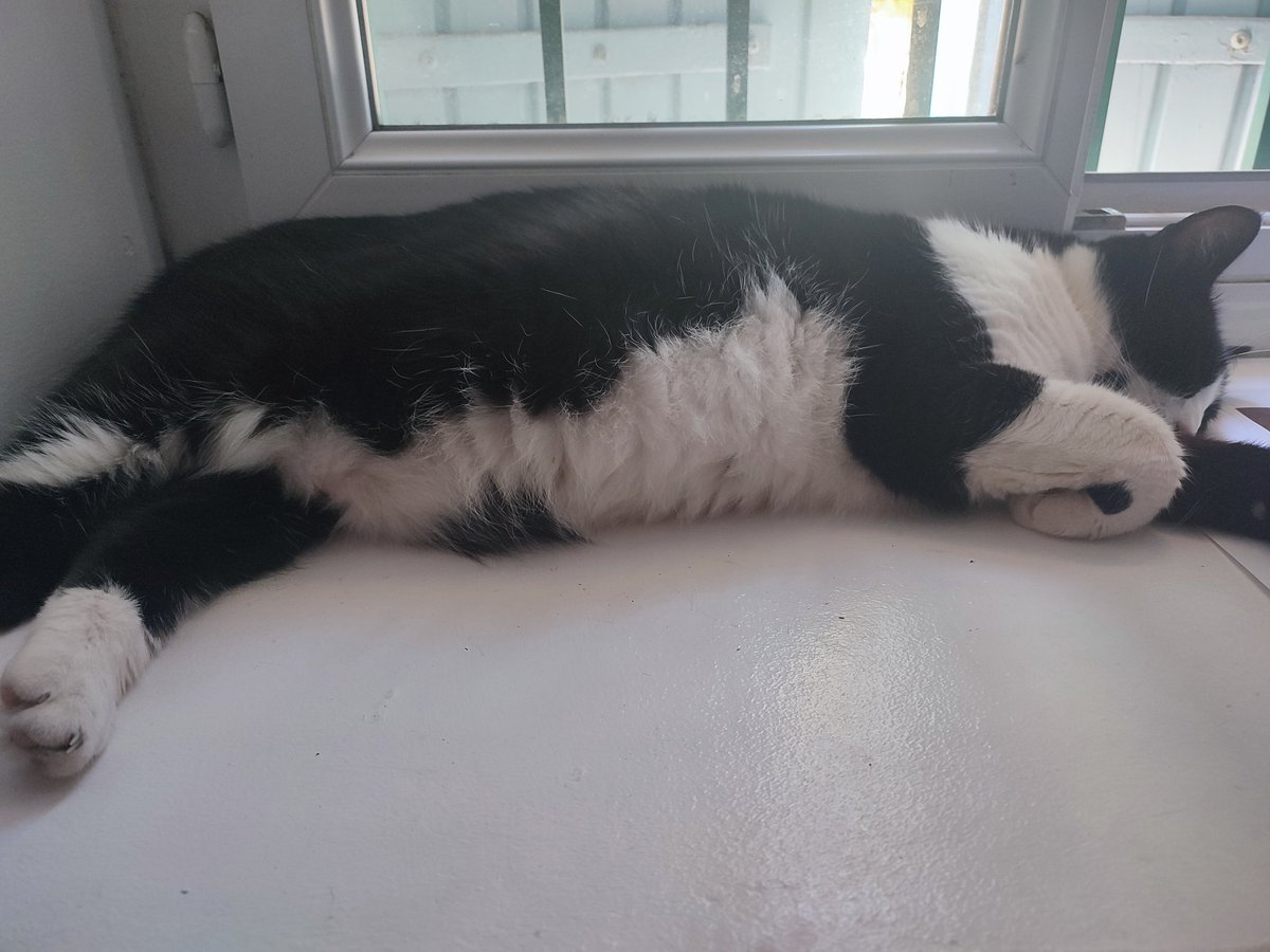 Grosse grosse dose de doux là 🥰