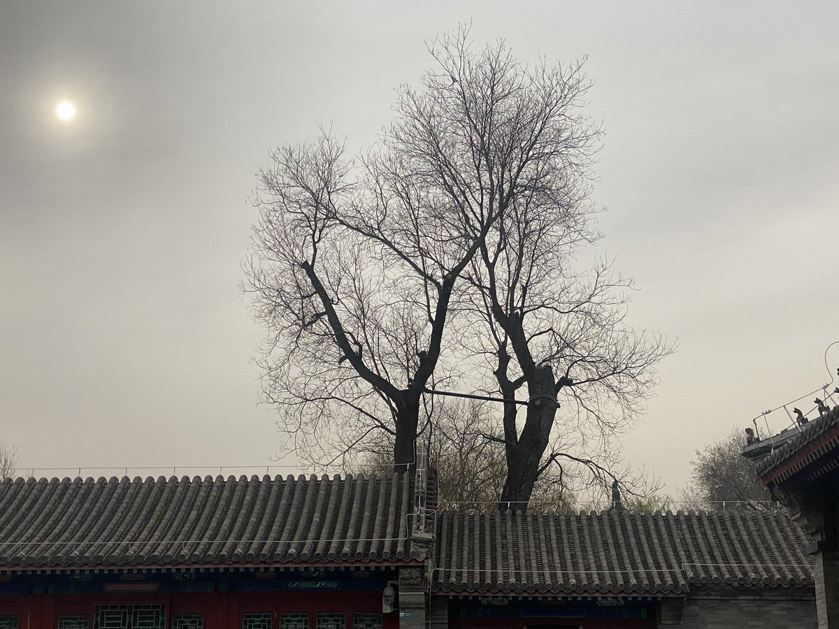 xiaoxiaolan99's tweet photo. https://t.co/QivcyYiyfH