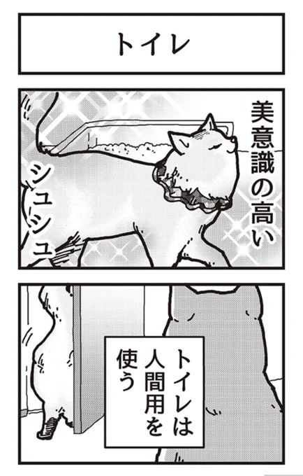 毎月12日は、ワンにゃんの日🐕🐈✨  4コマ漫画 『アルくんとシュシュちゃん』 最新話が更新されましたー! 【1話〜7話全て無料⬇️】   皆さん、素敵な夏休みを〜🌻  #4コマ漫画 #秋田犬 #トイレ #猫 #ソマリ