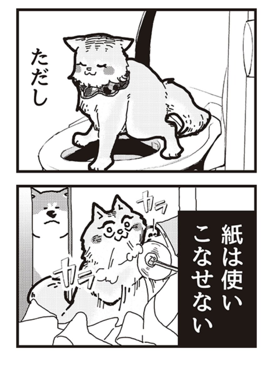 毎月12日は、ワンにゃんの日🐕🐈✨  4コマ漫画 『アルくんとシュシュちゃん』 最新話が更新されましたー! 【1話〜7話全て無料⬇️】   皆さん、素敵な夏休みを〜🌻  #4コマ漫画 #秋田犬 #トイレ #猫 #ソマリ