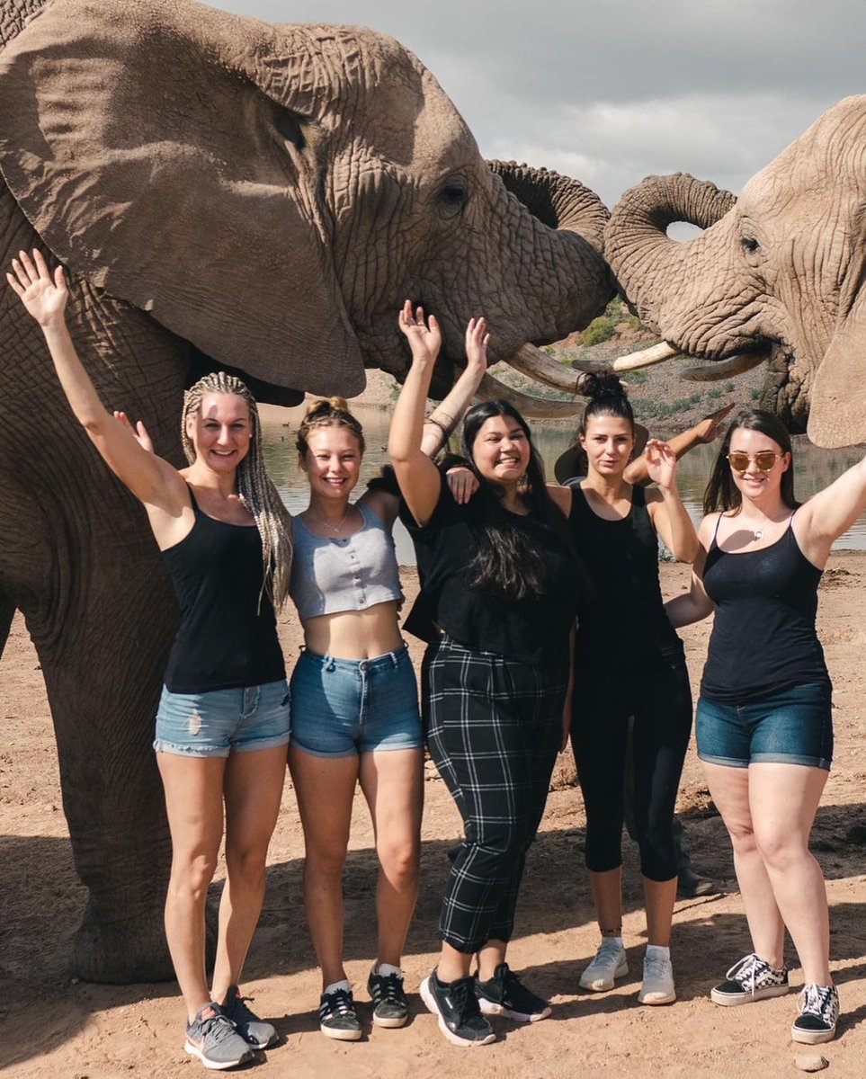 PlanMyGapYear's tweet image. Hands in the air if you love these gentle giants 🙋‍♀️💙⁠
⁠
Happy World Elephant Day from PMGY 🐘⁠
⁠
#pmgy #planmygapyear #pmgysouthafrica #volunteerabroad