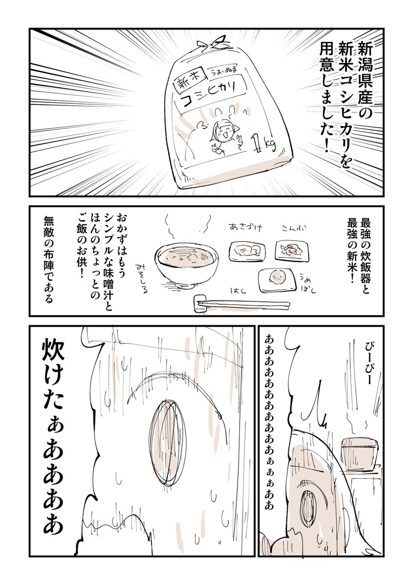 高級な炊飯器を買ってみた話 2/2  このシリーズの続きはこちら 