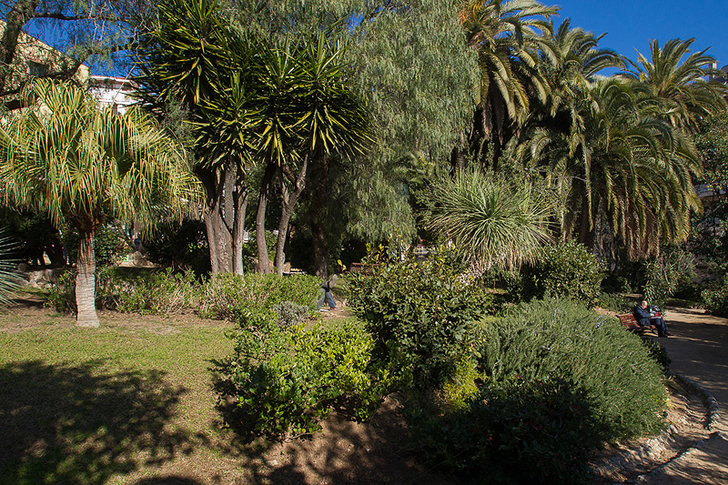 🌴🌳🌿 Als jardins de <a href="/CanCastello/">Can Castelló</a>, a <a href="/Bcn_SSTG/">Sarrià - Sant Gervasi</a>, hi podem veure palmeres de Canàries, iuques, castanyers d'Índies o una planta crassa originària de Califòrnia.

🤗 Us descobrim els 5 #CentresCívicsBCN més frescos 👉 ow.ly/SArI50JWQS6