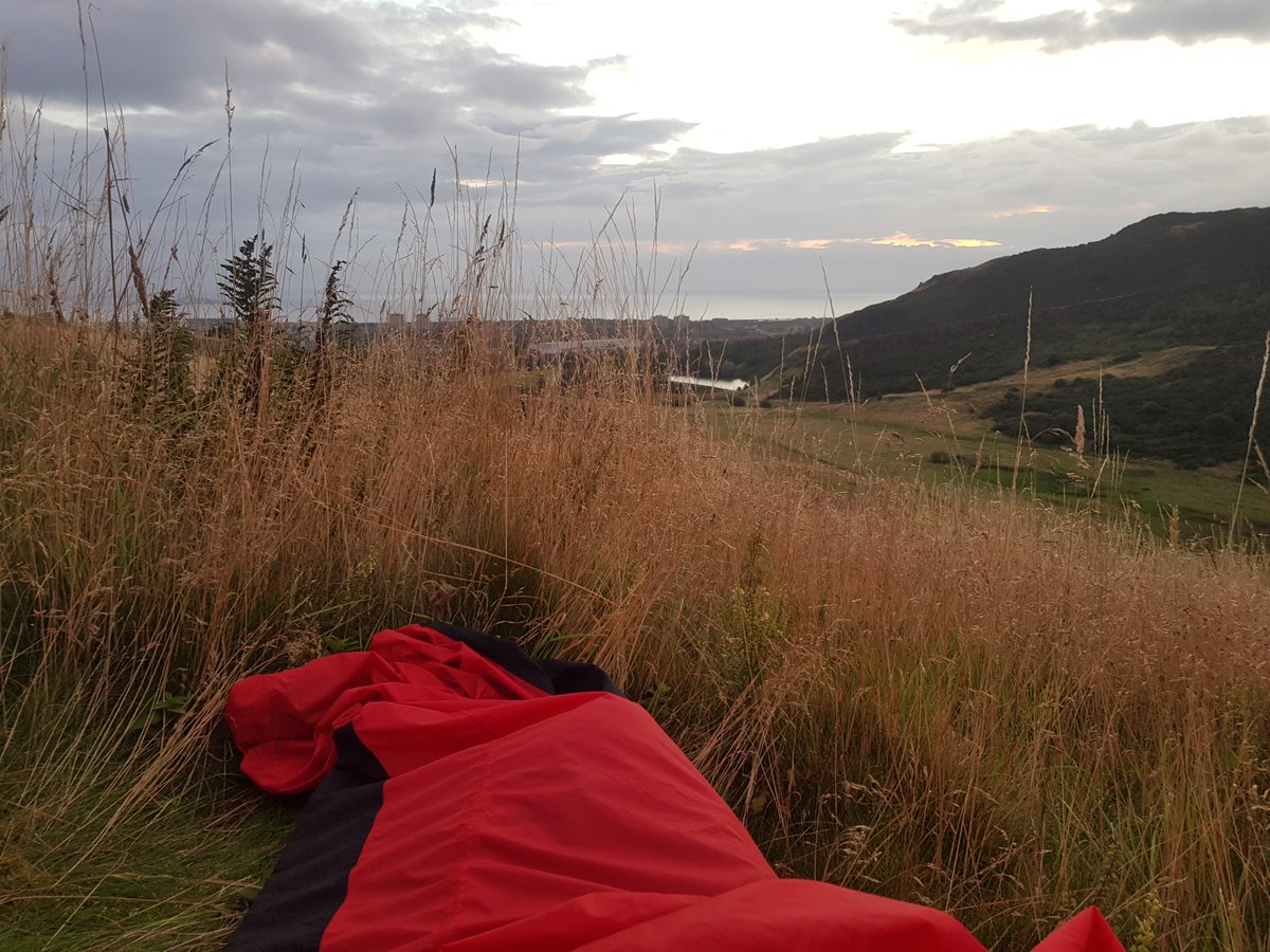 Anna Fleming tweet media