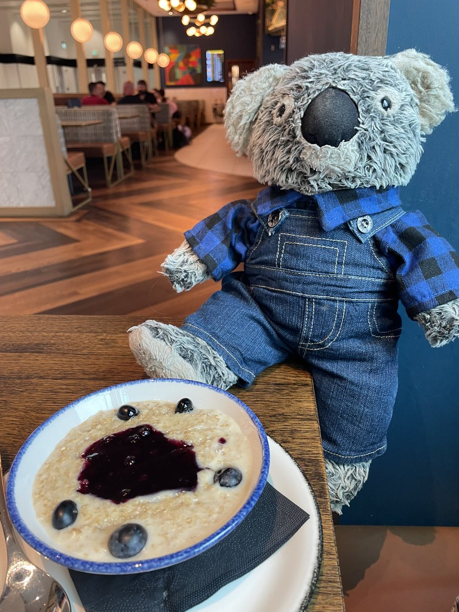 Kenny koala tweet media