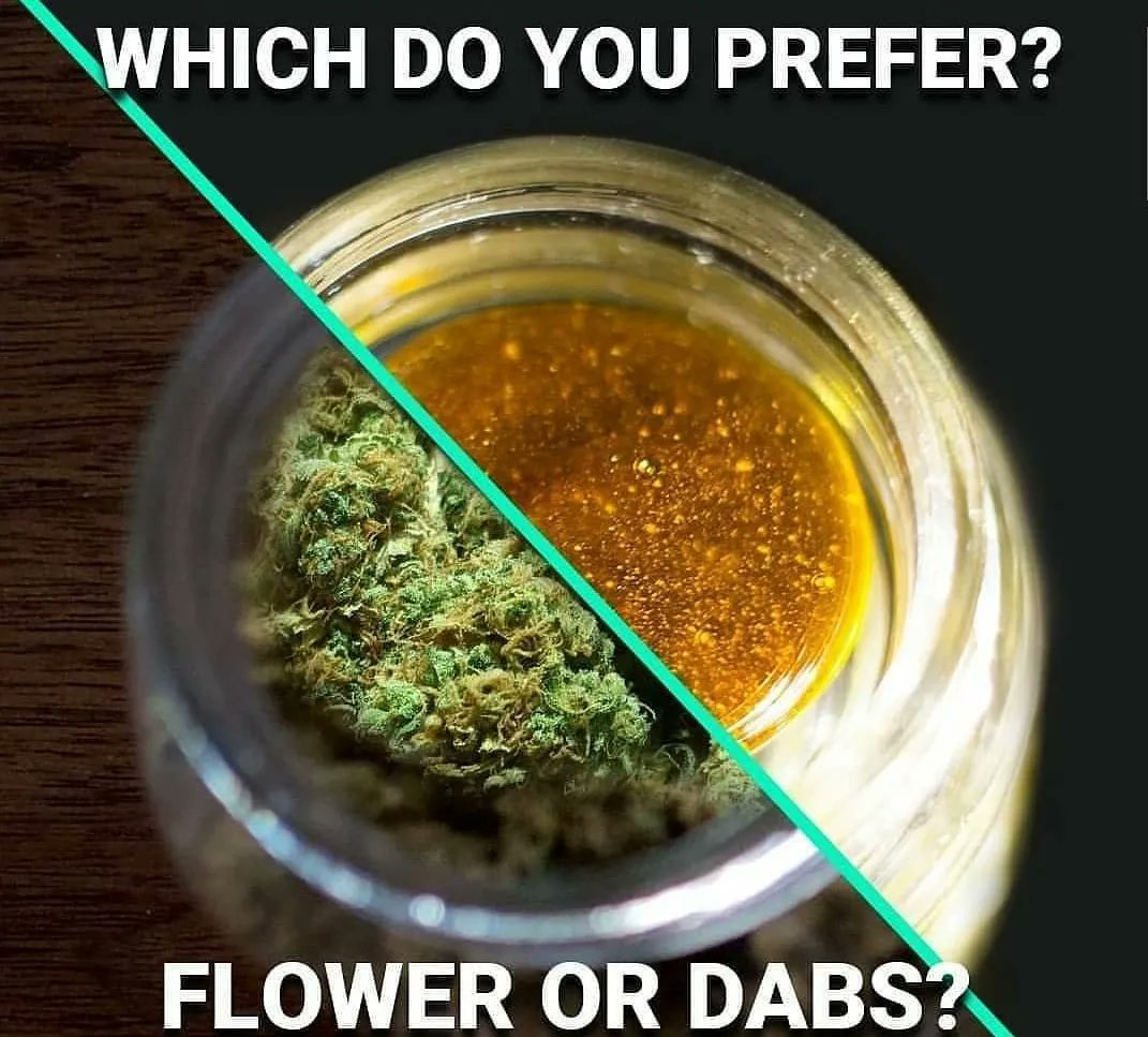 Zito 🐐💨🎖️ tweet media