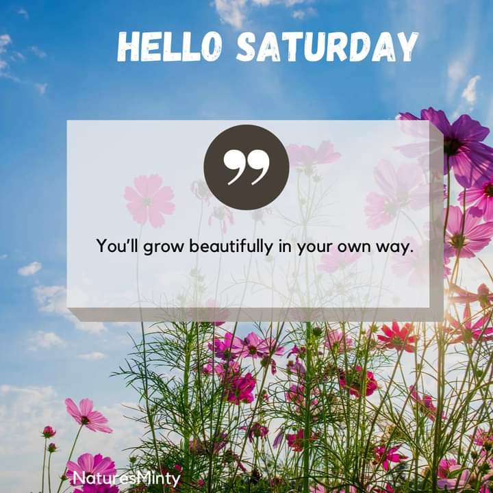 naturesminty's tweet photo. Everyone's journey in life is unique. 
Just as a flower blossoms in its own time &amp; manner, we too have our own paths to growth, learning, &amp; self-discovery. 
Rather than comparing yourself

..IFB
David Hundeyin Buhari ECOWASintervention #Bbnaija #BBNaijaAllStars #BushraDiaryLeaked https://t.co/cg17pOgLsb