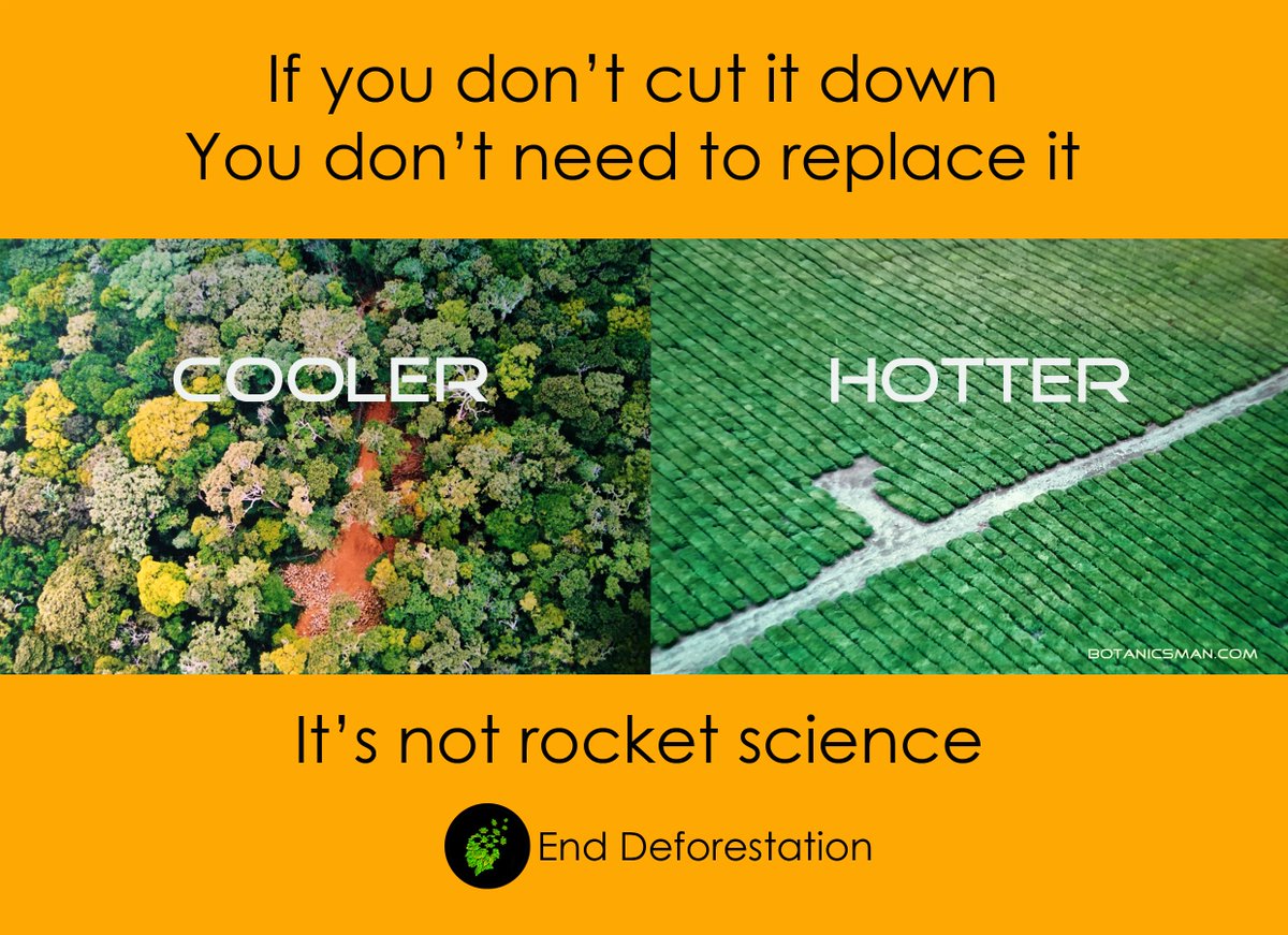 Don't screw it up #OnelifeSystem.  #EndDeforestation
👇copyrightfree graphic 🙏 ShareTheKnowledge