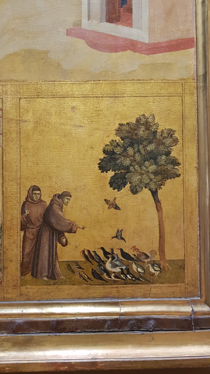 Le_Ann_Fr's tweet photo. Auch Vogelcontent muss sein (auch auf @x)
#Bondone
@MuseeLouvre https://t.co/WTgGRcvIFL