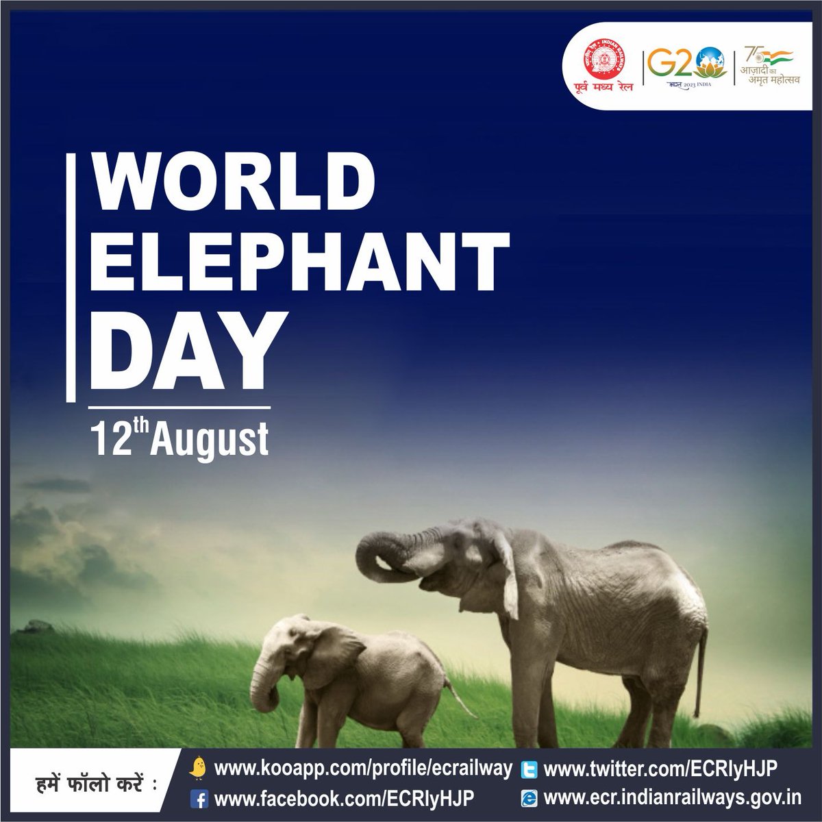 #WorldElephantDay #SaveElephant