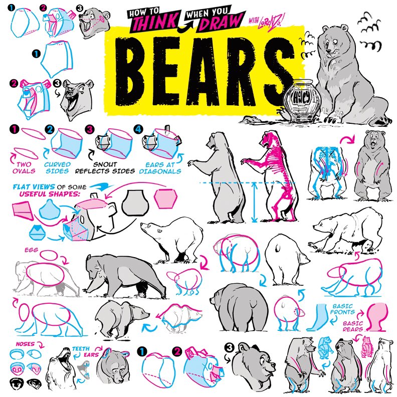 BEARS from the How to THINK When You Draw ENCYCLOPEDIA - the world’s ONLY encyclopedia of drawing tutorials, posted up FREE for EVERYONE, FOREVER, with NEW &amp; CLASSIC tutorials coming up EVERY DAY right here only on our twitter :)
#gamedev #manga #conceptart #illustration