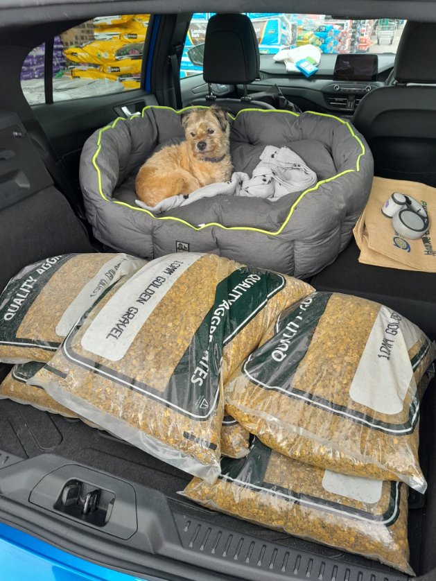Ooh I know let's take Archie to the garden centre and buy a garden bench and then realise it won't fit in the car🤪 and then we can buy some bags of gravel and make Archie move anyway😠
#BTPosse