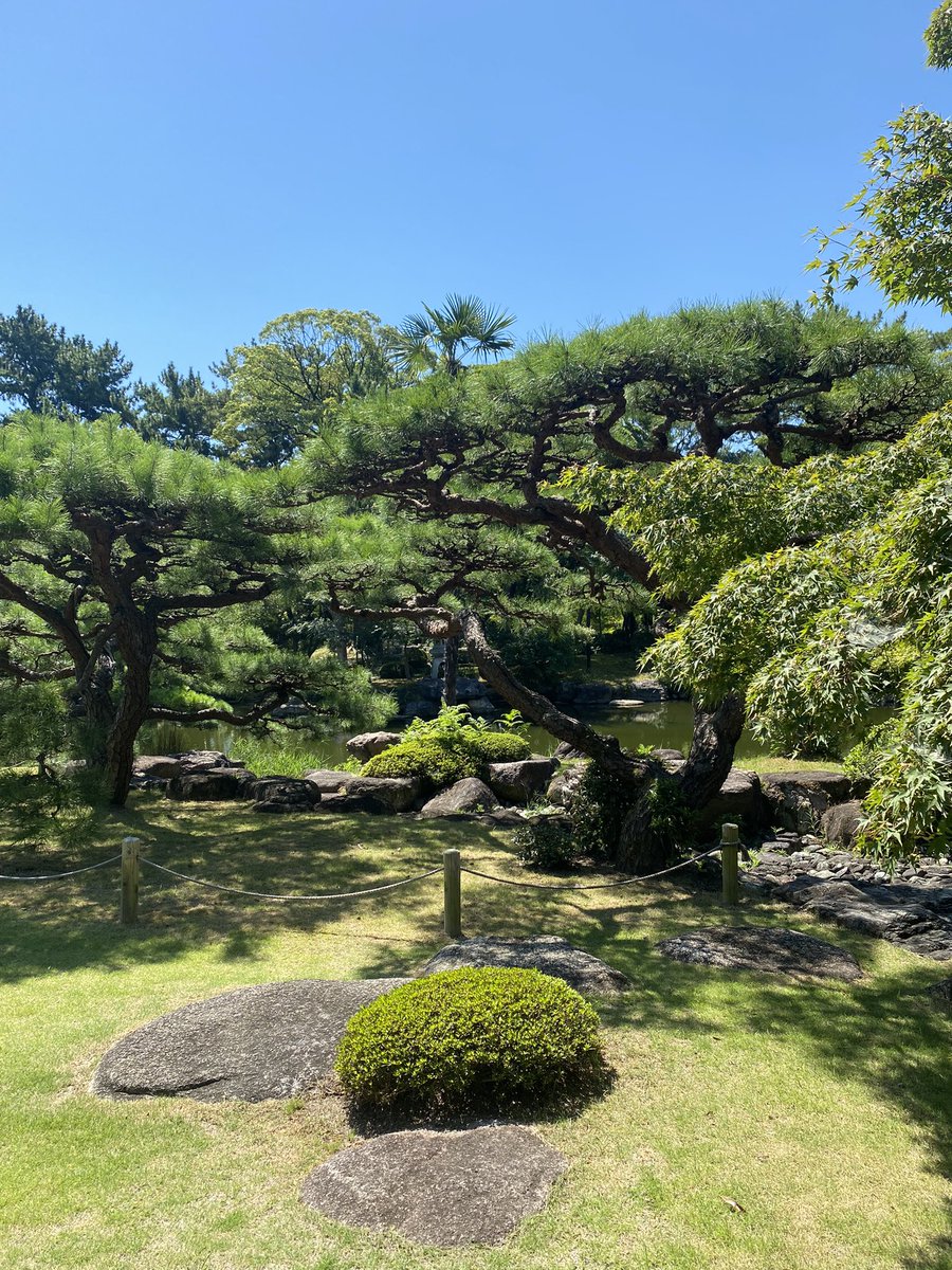 ItoAizen's tweet photo. 日本庭園はどこがいい？と聞かれた時は
チャラ箱が好きなら徳川庭園、音箱が好きなら白鳥庭園。と答えてる😉 https://t.co/bD95kDjeDU