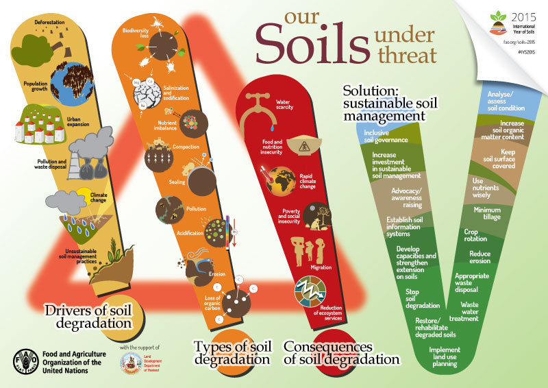 UNBiodiversity's tweet image. Our soils are under threat❗️️

Learn about:

✅ Drivers of soil degradation

✅ Types of soil degradation

✅ Consequences of degradation

The solution? Sustainable soil management.

via @FAO