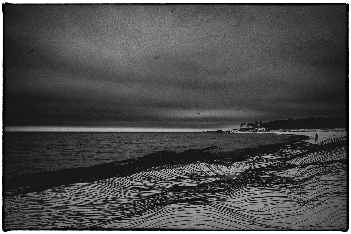 romandrits tweet media