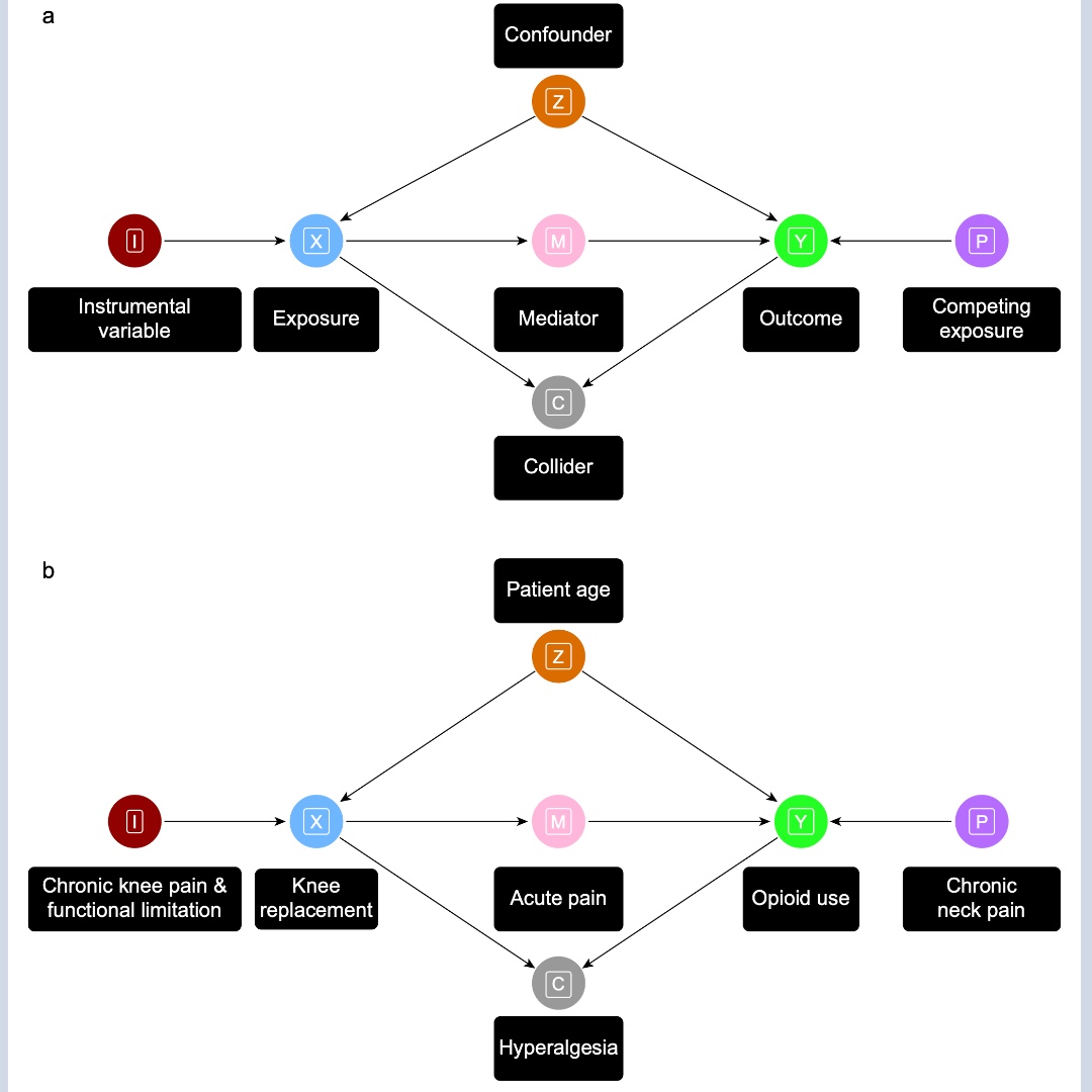 BJAJournals's tweet image. New editorial: @BenYAndrew et al discuss the use of propensity score analyses in determining causal inferences in observational research. What shall we look out for? #EBM #observationalstudy #propensityscoring #perioperative @rupert_pearse 

bjanaesthesia.org/article/S0007-…