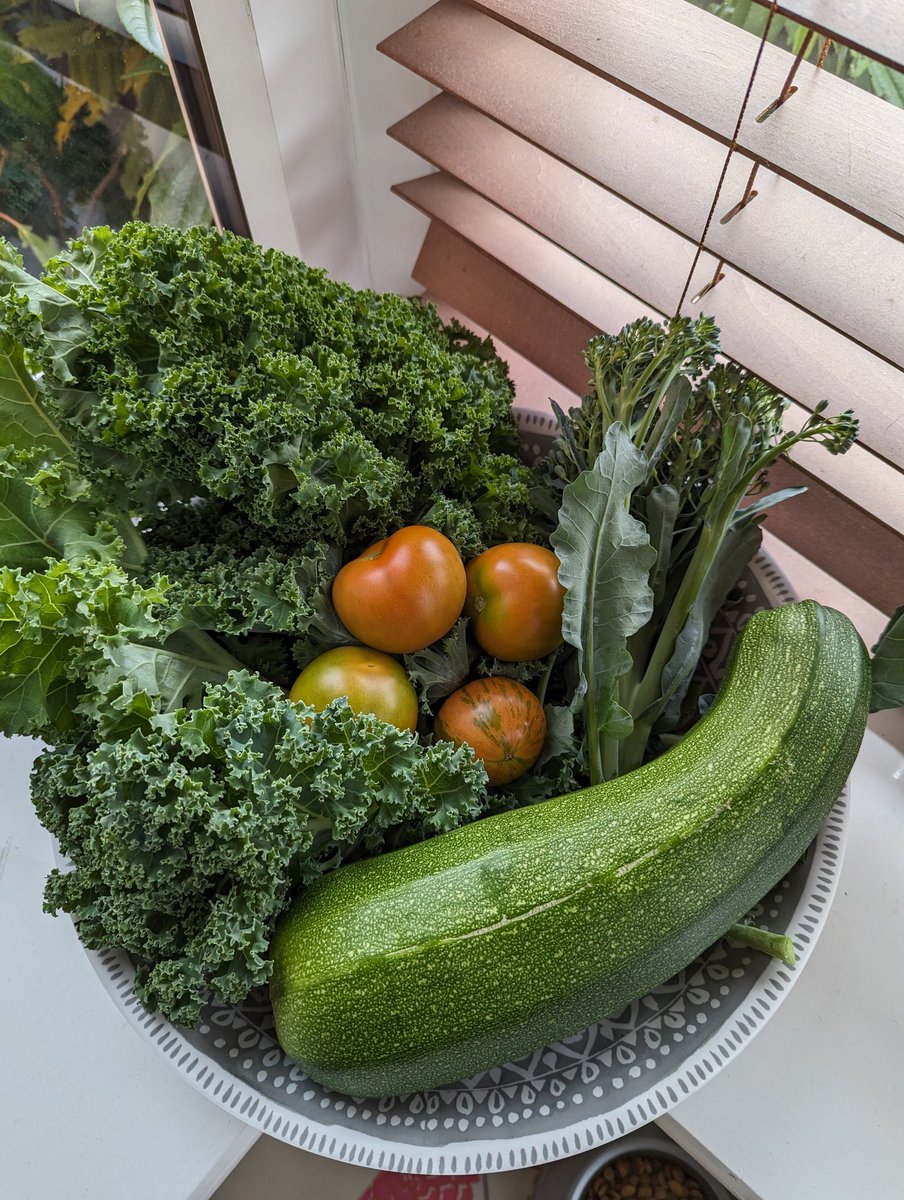 Chris Sedgwick tweet media