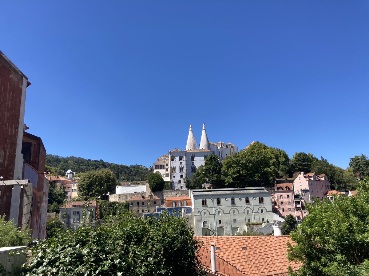 Miguel 🏖️ tweet media