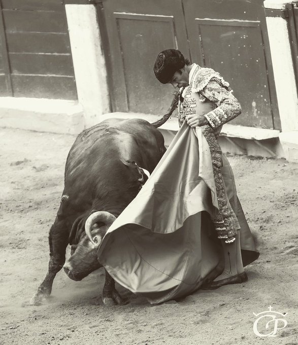 forostoreros's tweet photo. ¡Buenos días! #FelizDomingoATodos 
¿Torero, toro, plaza, fotógrafo? Grades pase y foto.  ¡Que Dios reparta suerte! https://t.co/bTOFMtHE2s https://t.co/IoPQtaqgQw